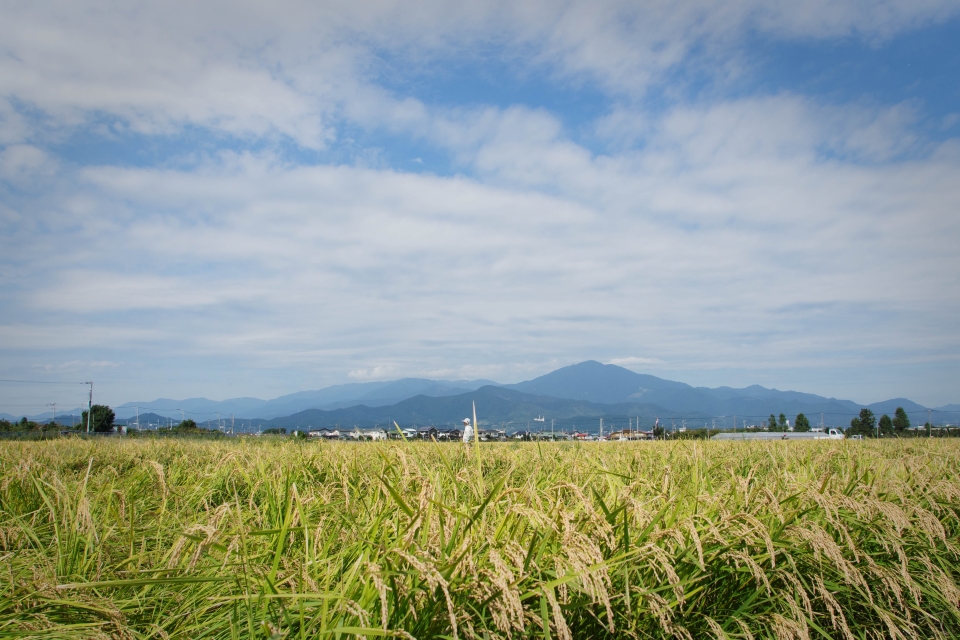 f:id:hisadoi:20171001104131j:image