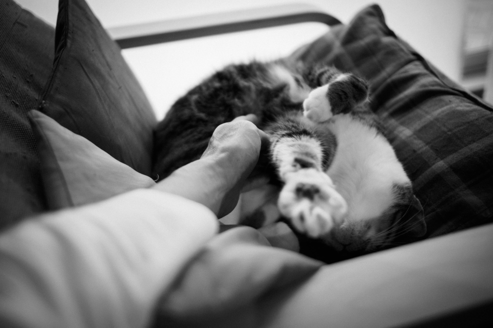 f:id:hisadoi:20171022130230j:image