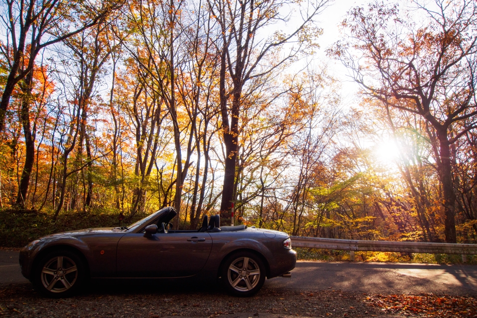 f:id:hisadoi:20171101070951j:image