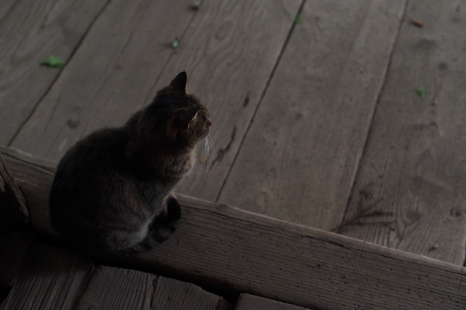 f:id:hisadoi:20171101103124j:image