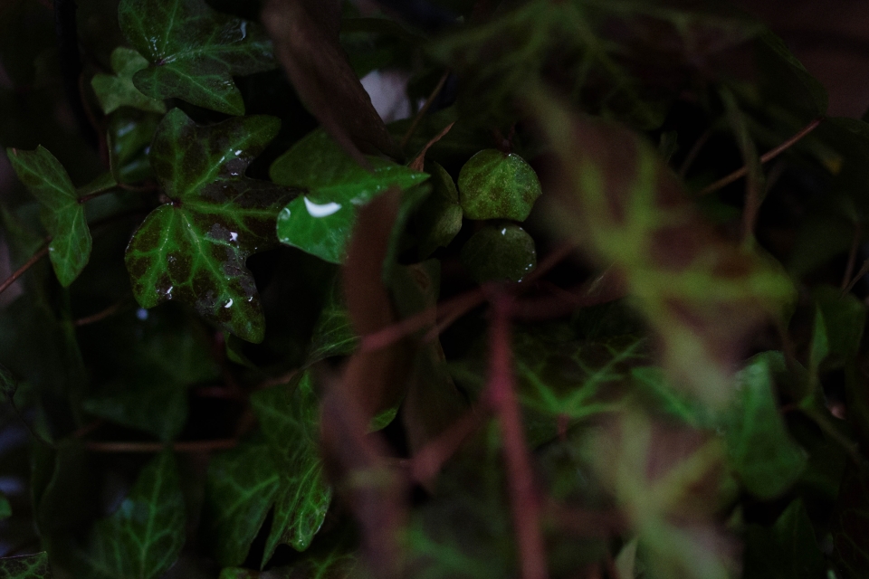 f:id:hisadoi:20180108161457j:image