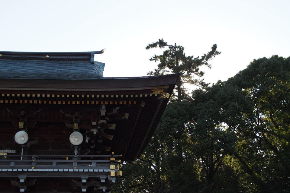 f:id:hisadoi:20180113143907j:image f:id:hisadoi:20180113143907j:image