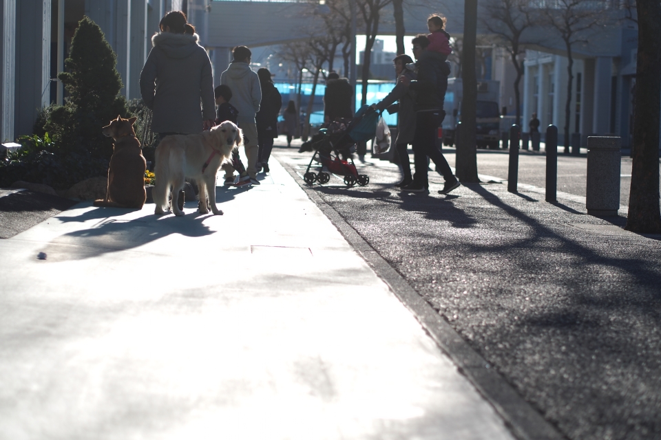 f:id:hisadoi:20180114151852j:image f:id:hisadoi:20180114151852j:image