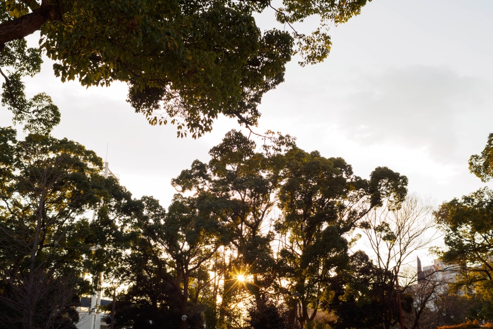 f:id:hisadoi:20180128161646j:image