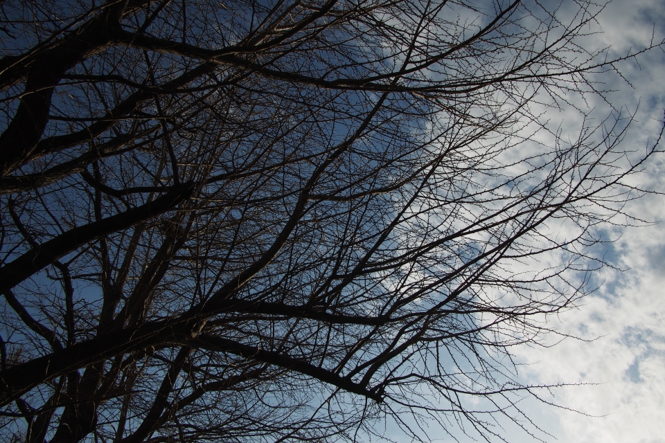 f:id:hisadoi:20180218160323j:image