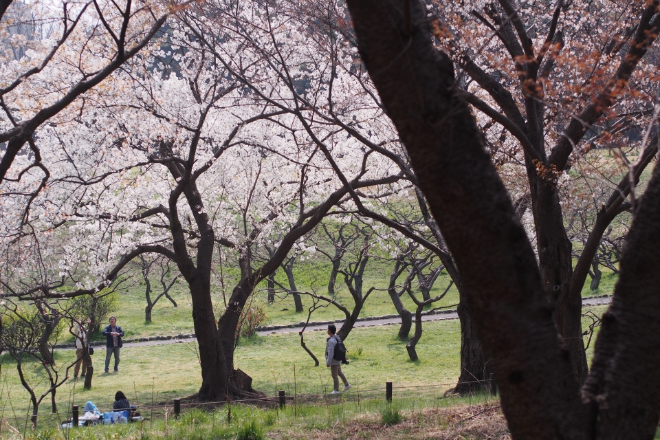 f:id:hisadoi:20180327104637j:image