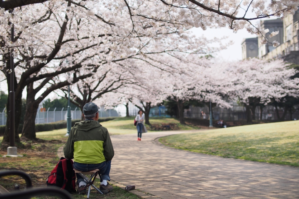 f:id:hisadoi:20180327110304j:image