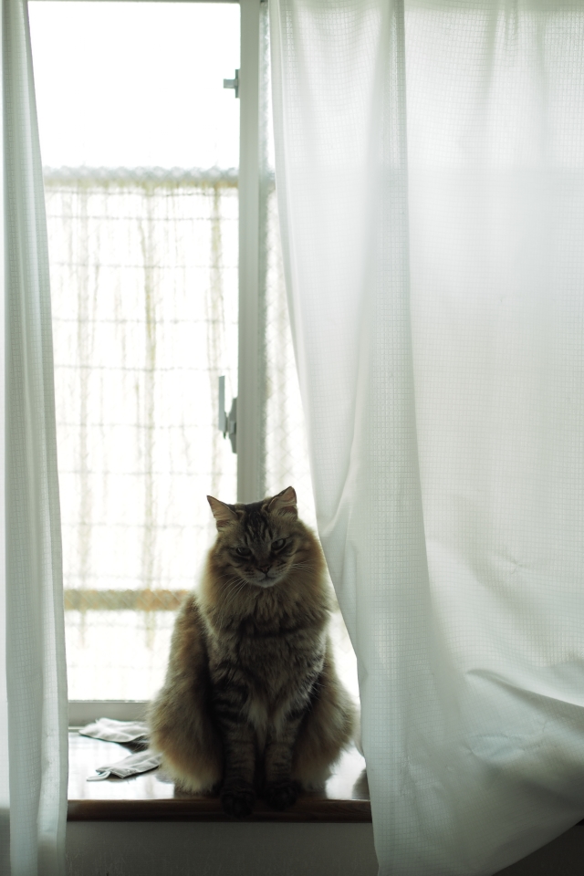 f:id:hisadoi:20180407084559j:image