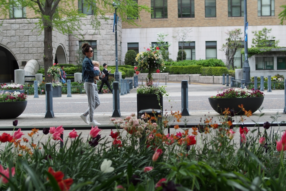 f:id:hisadoi:20180415171935j:image