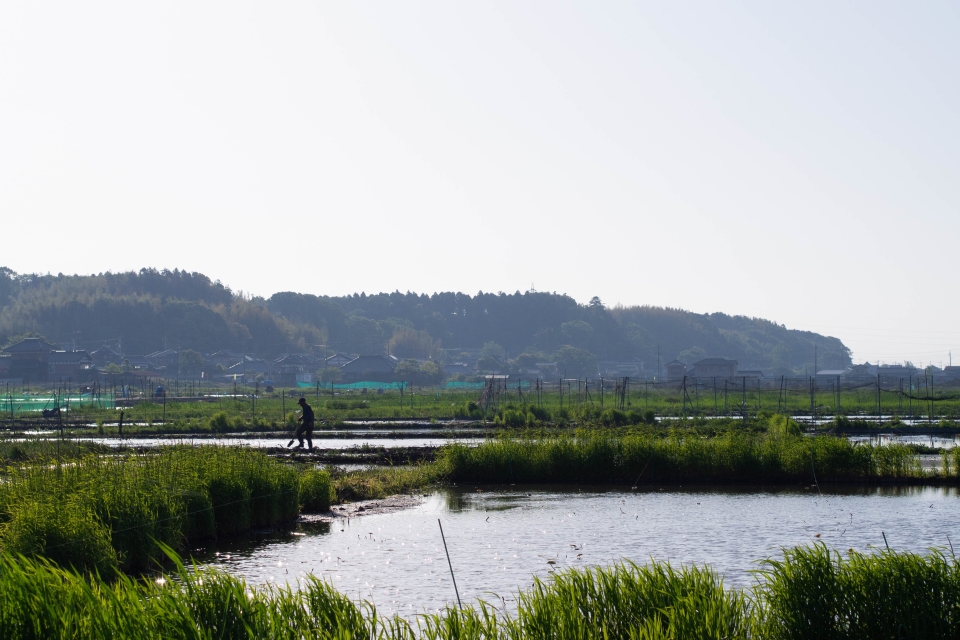 f:id:hisadoi:20180430064523j:image