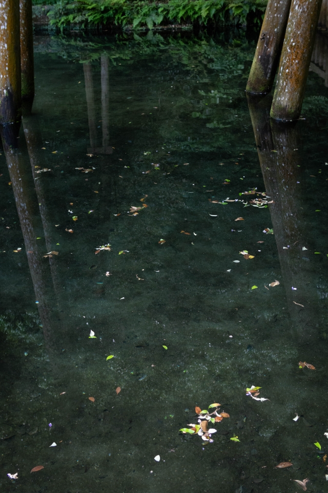 f:id:hisadoi:20180430084108j:image