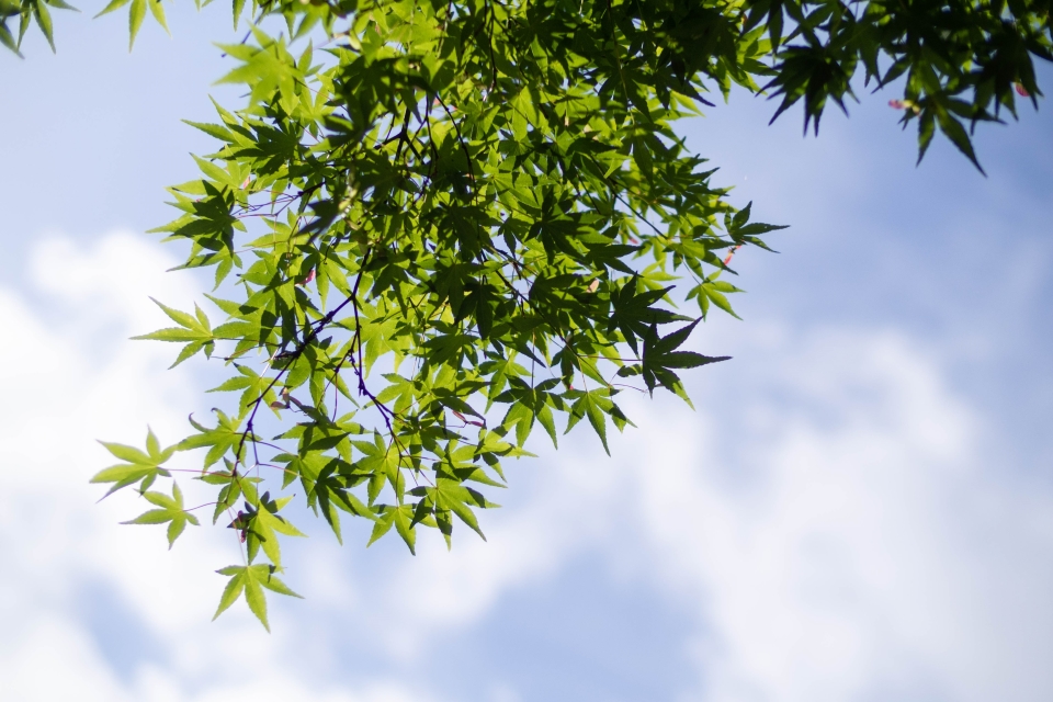 f:id:hisadoi:20180430084745j:image