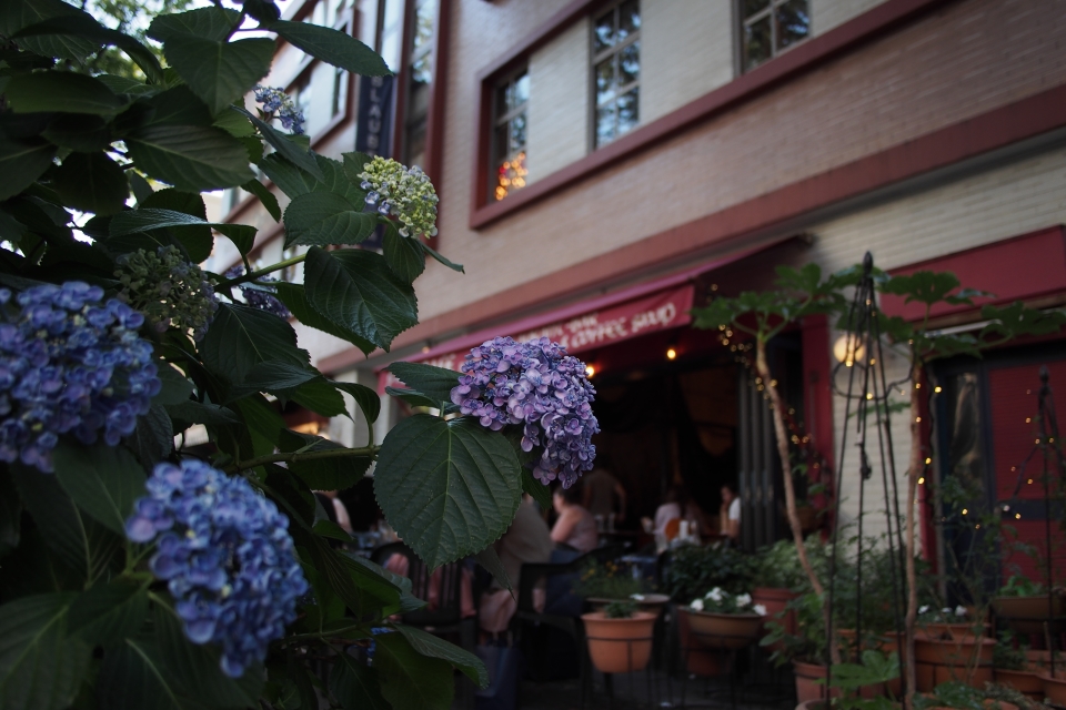 f:id:hisadoi:20180602175405j:image