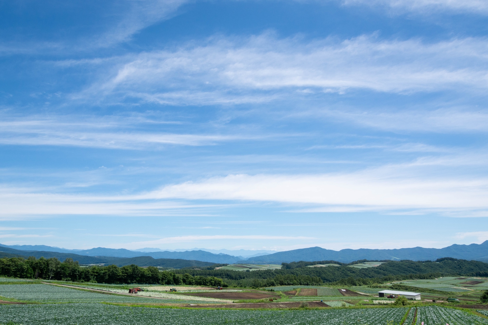 f:id:hisadoi:20180818105452j:image