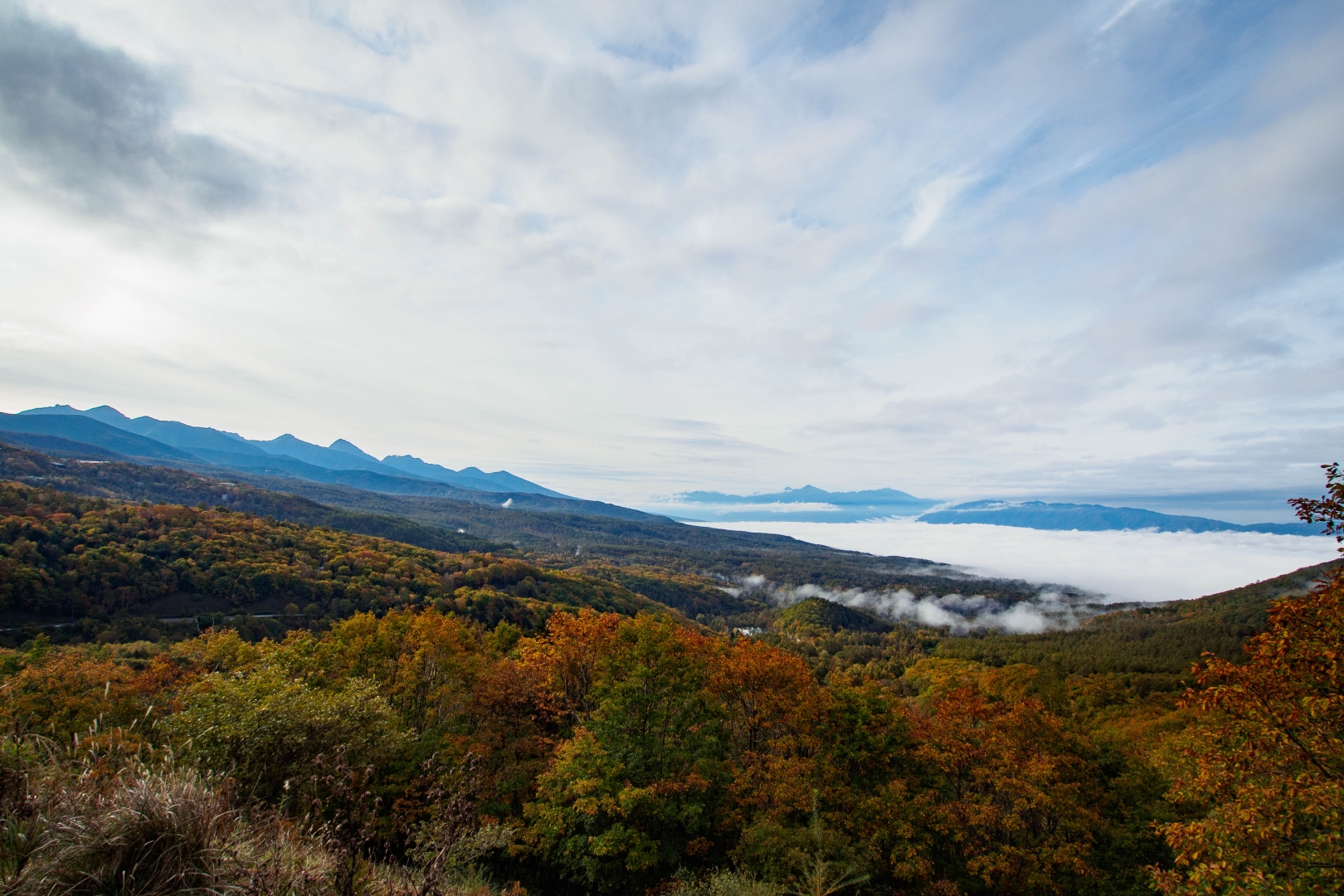 f:id:hisadoi:20181013073959j:image f:id:hisadoi:20181013073959j:image