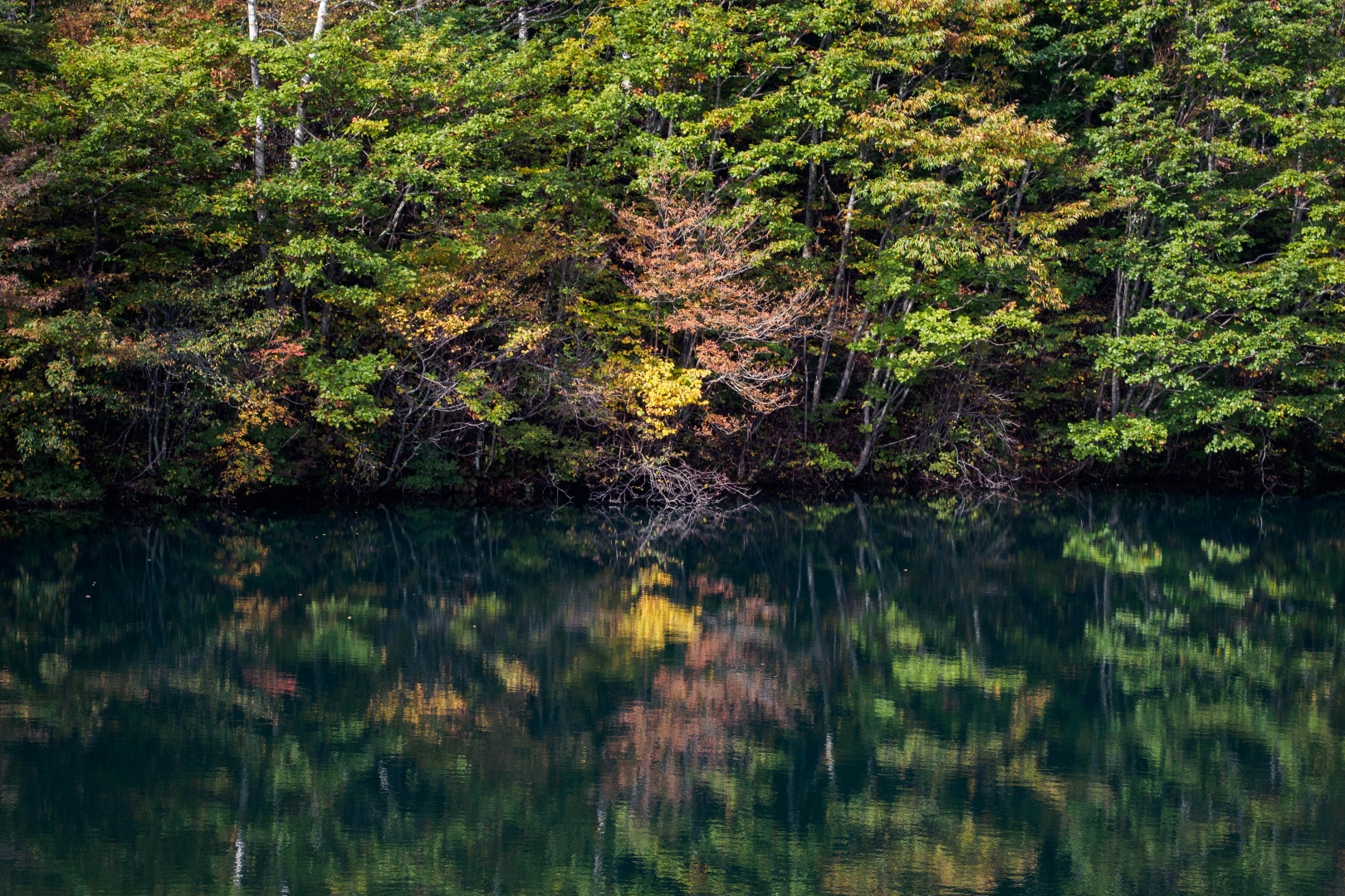 f:id:hisadoi:20181013084402j:image f:id:hisadoi:20181013084402j:image