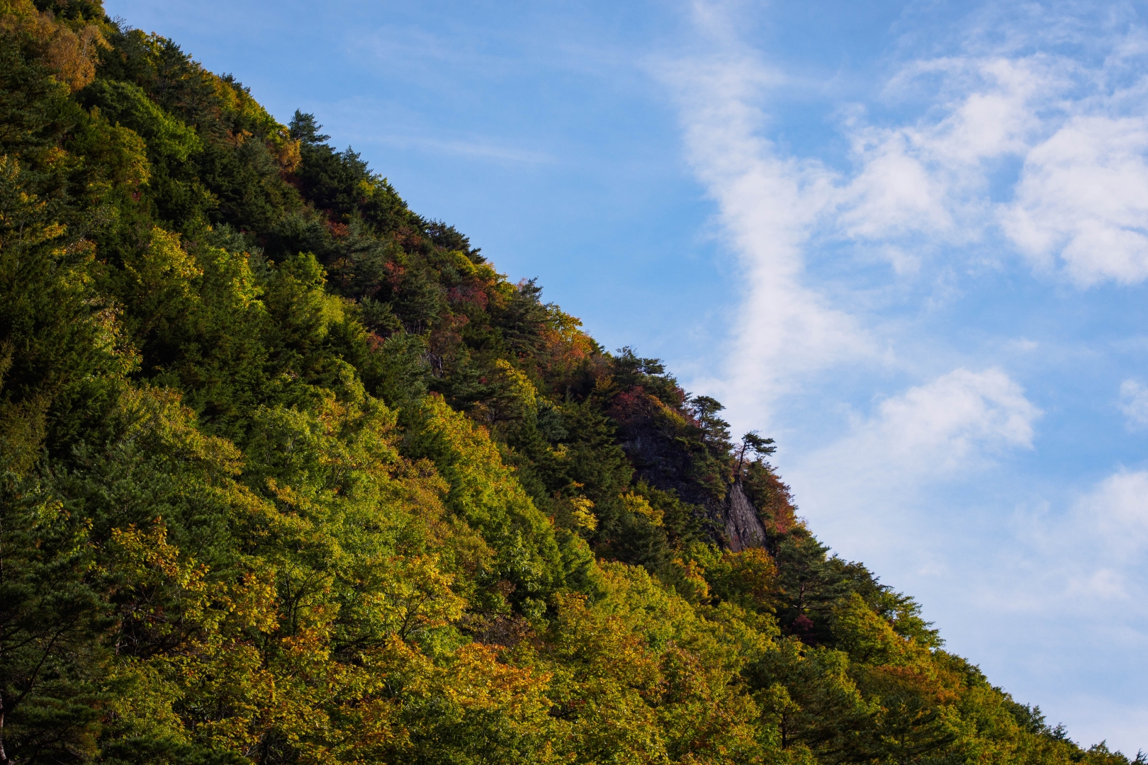 f:id:hisadoi:20181013084528j:image f:id:hisadoi:20181013084528j:image