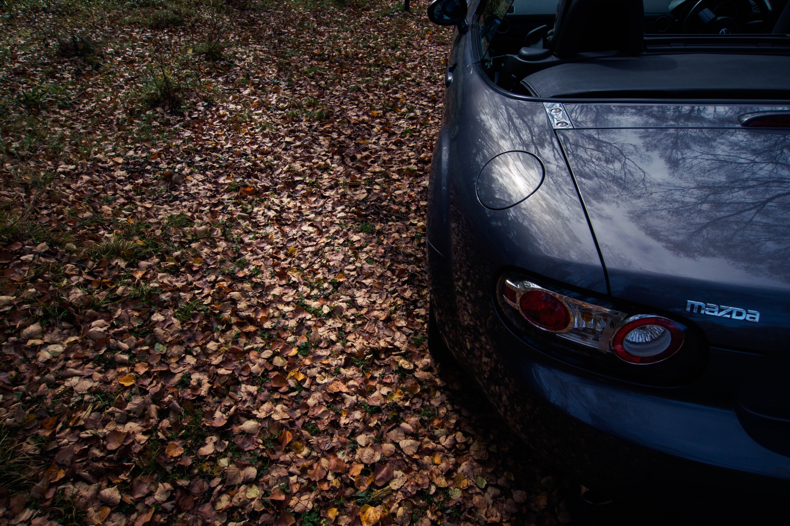 f:id:hisadoi:20181013093426j:image f:id:hisadoi:20181013093426j:image