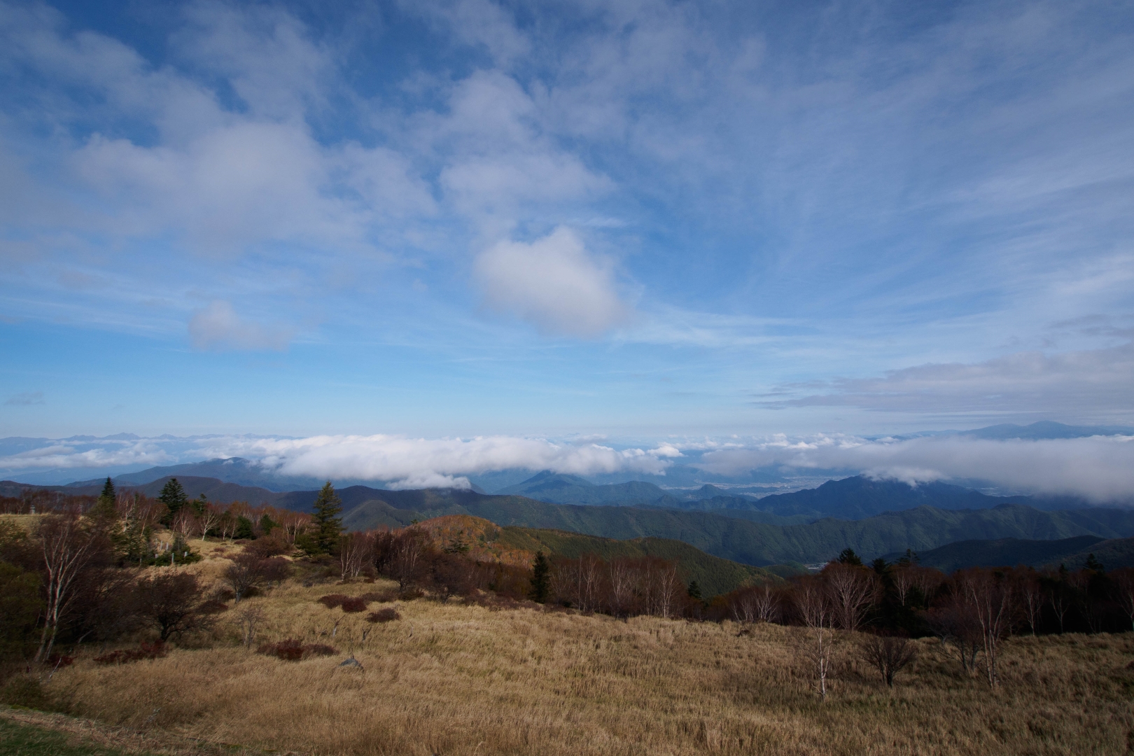 f:id:hisadoi:20181013094757j:image f:id:hisadoi:20181013094757j:image