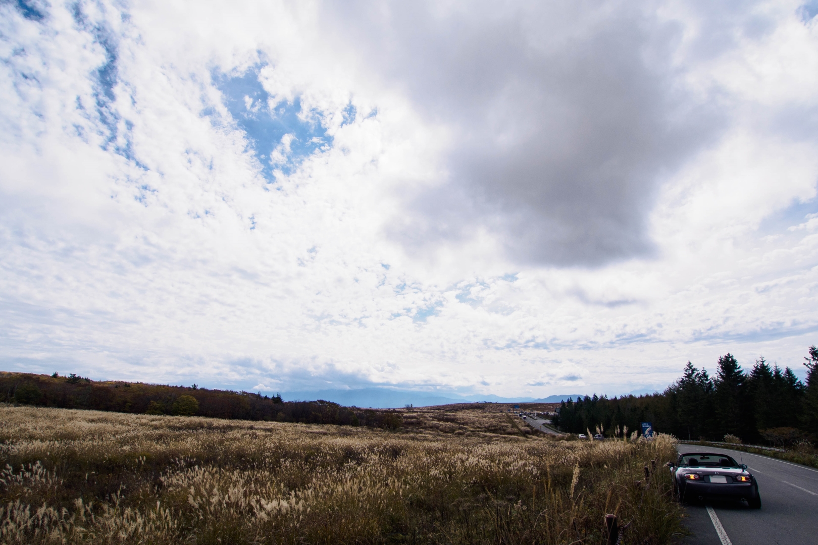 f:id:hisadoi:20181013123313j:image f:id:hisadoi:20181013123313j:image