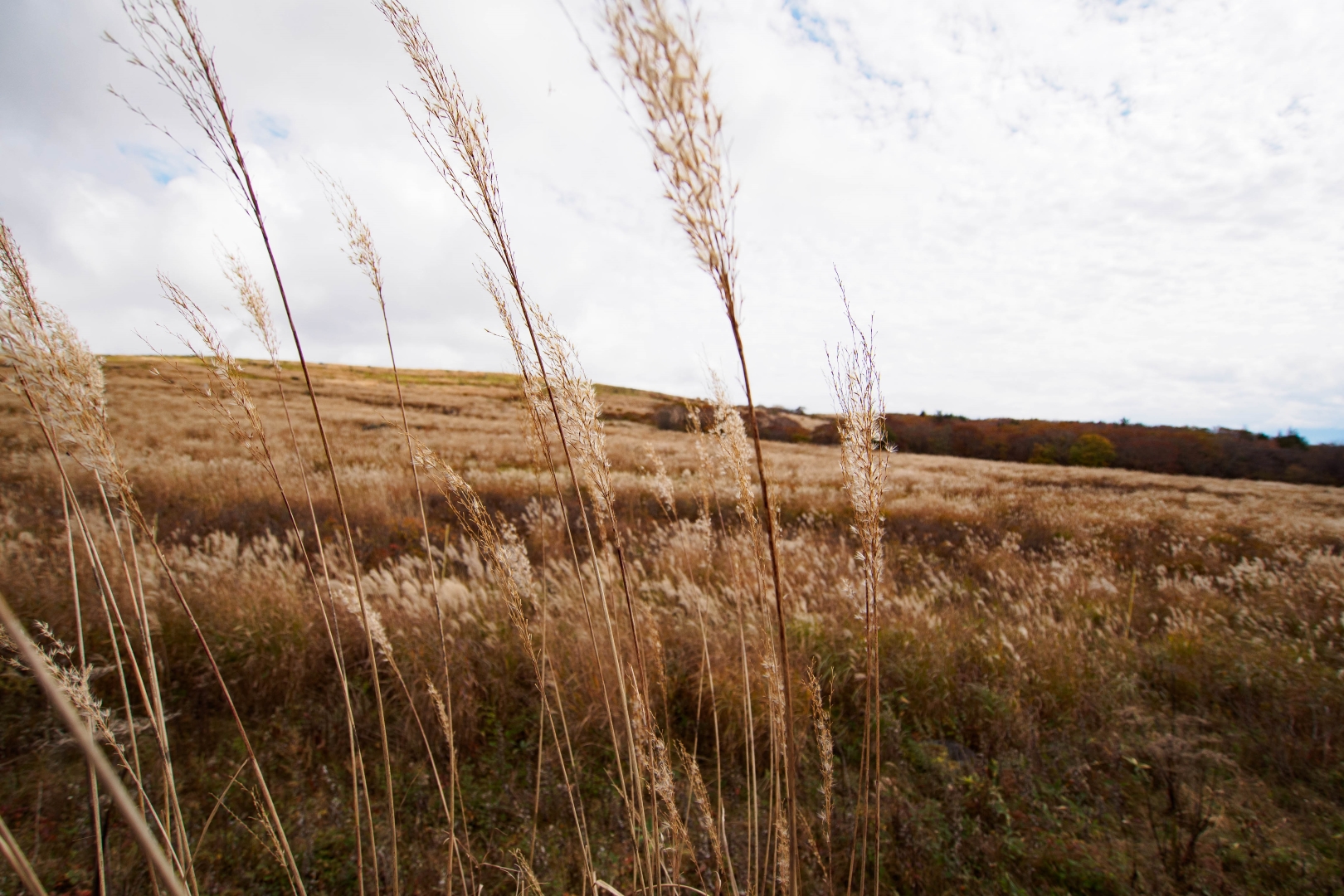 f:id:hisadoi:20181013123404j:image f:id:hisadoi:20181013123404j:image