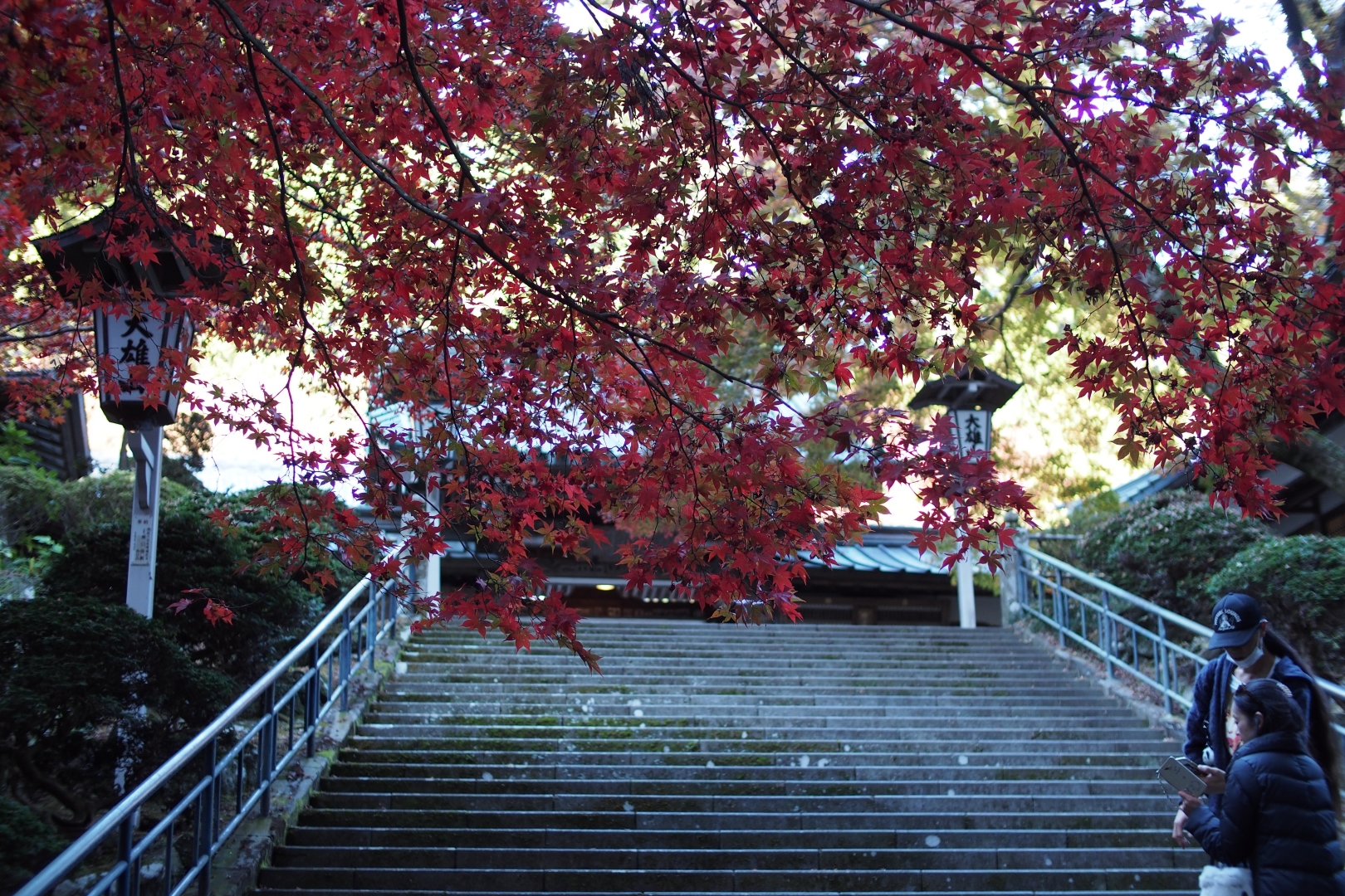 f:id:hisadoi:20181124082120j:image