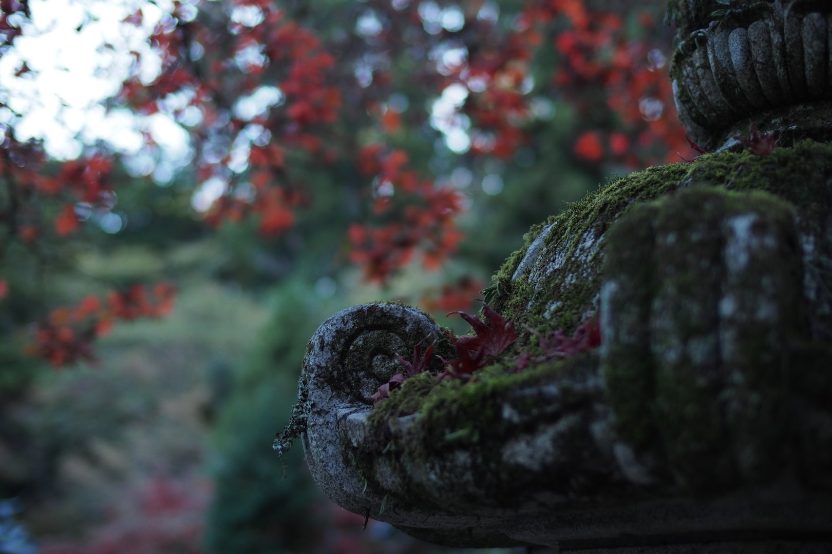 f:id:hisadoi:20181124084609j:image