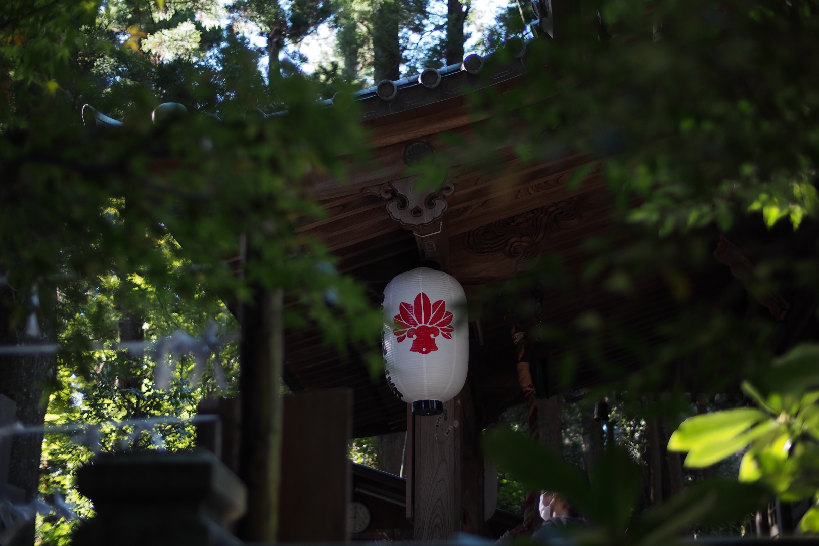 f:id:hisadoi:20181124090525j:image