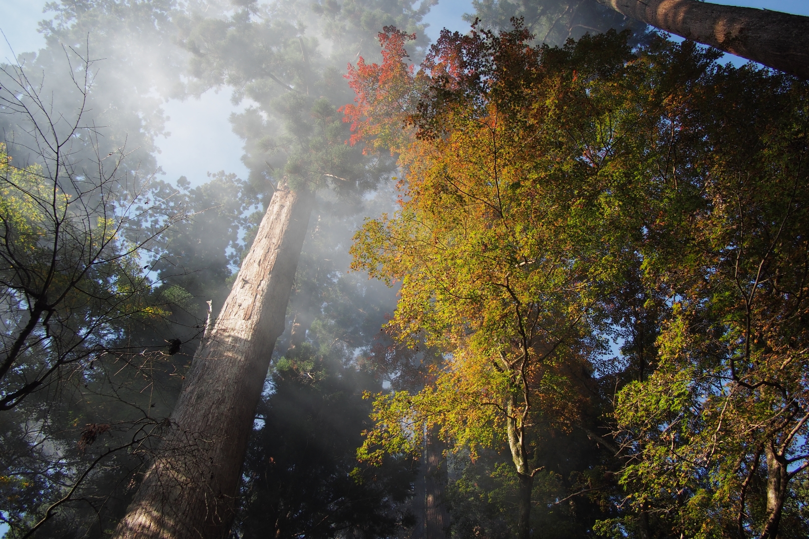 f:id:hisadoi:20181124092741j:image