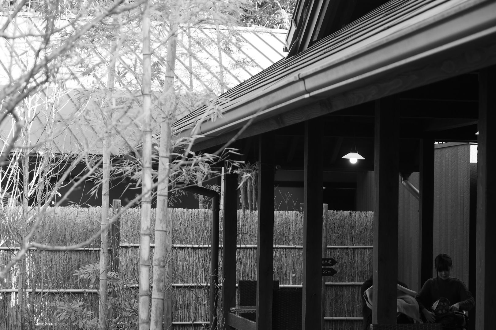 f:id:hisadoi:20190104142723j:plain