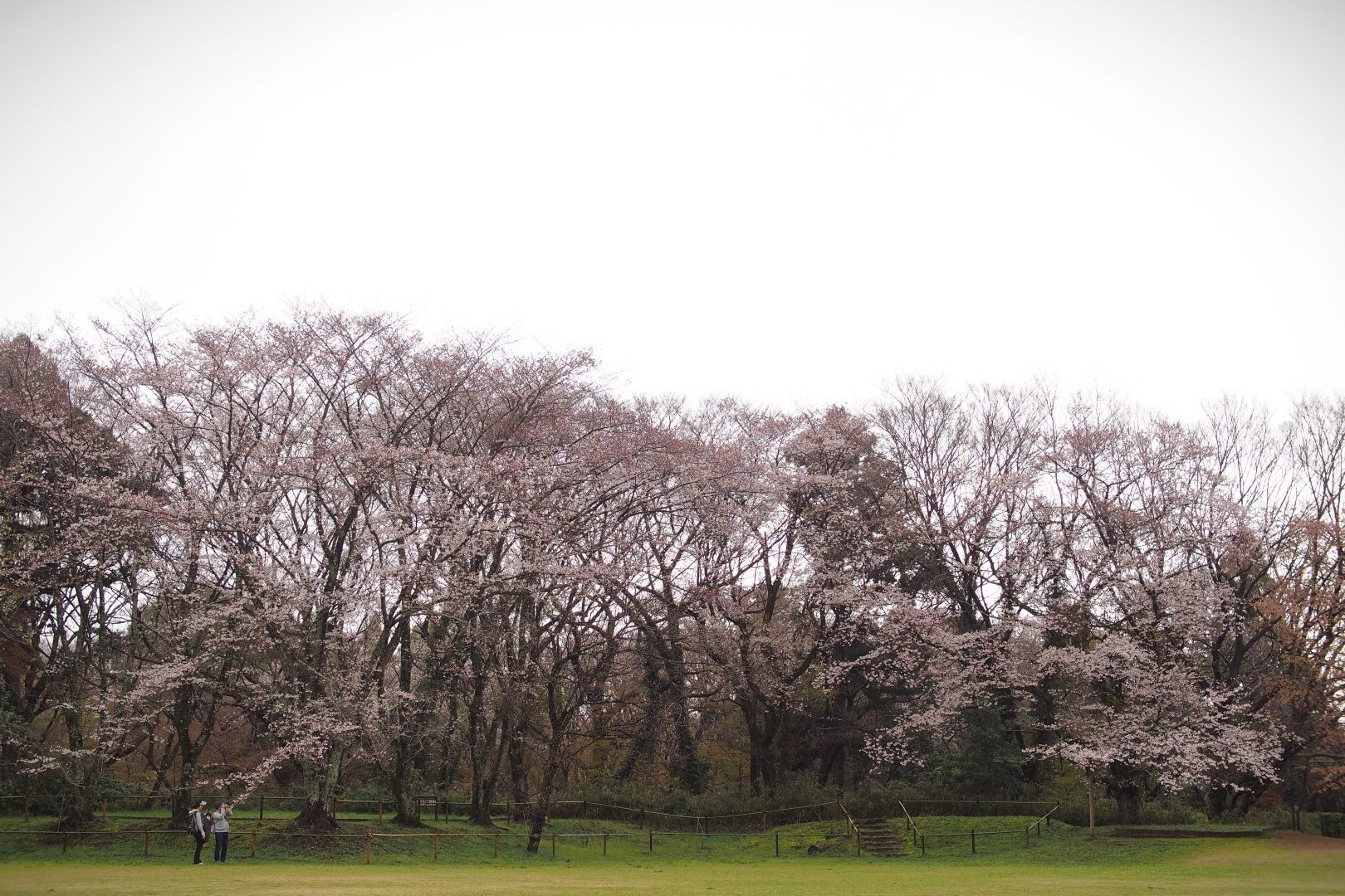 f:id:hisadoi:20190331080158j:plain f:id:hisadoi:20190331080158j:plain