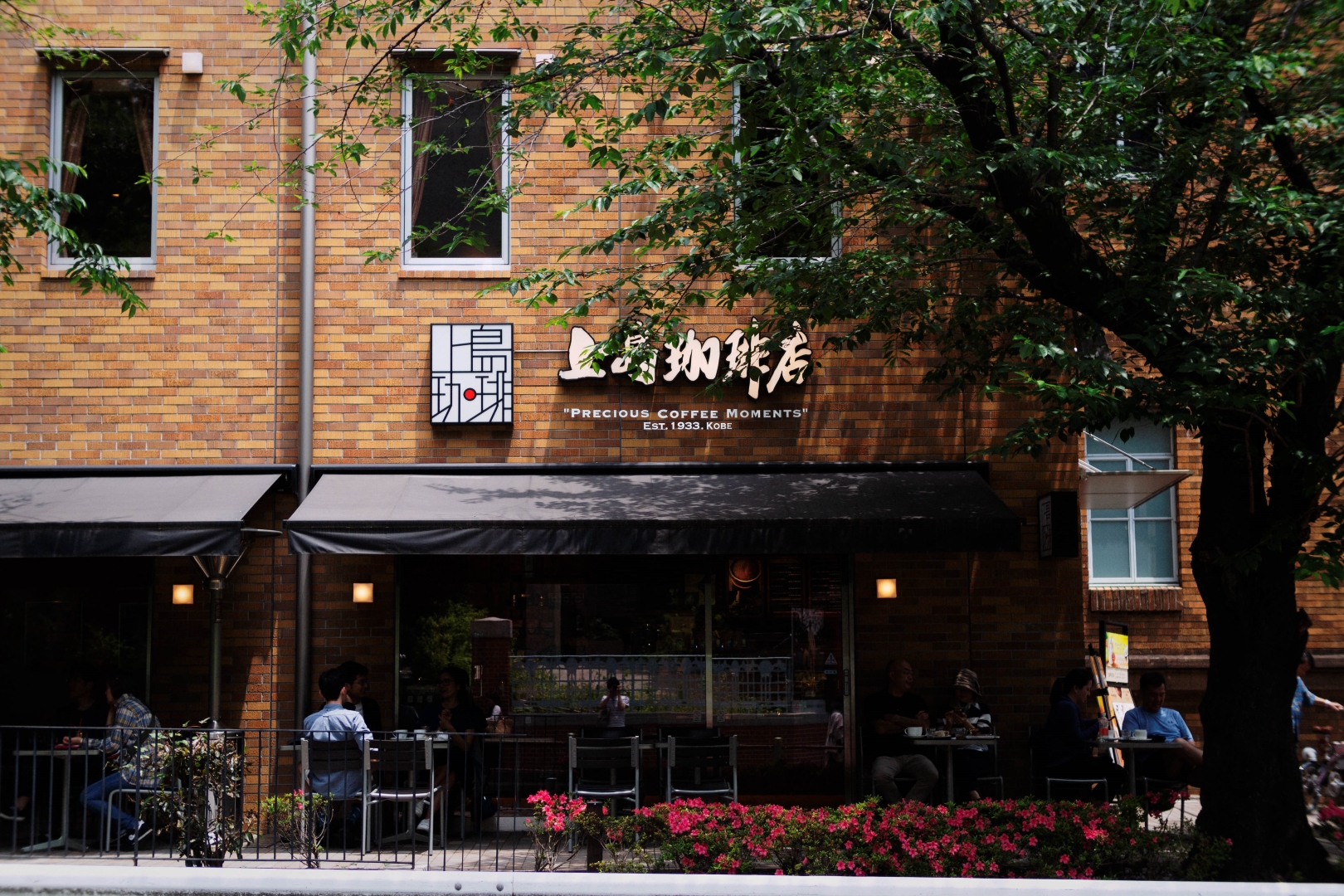 f:id:hisadoi:20190601113509j:plain