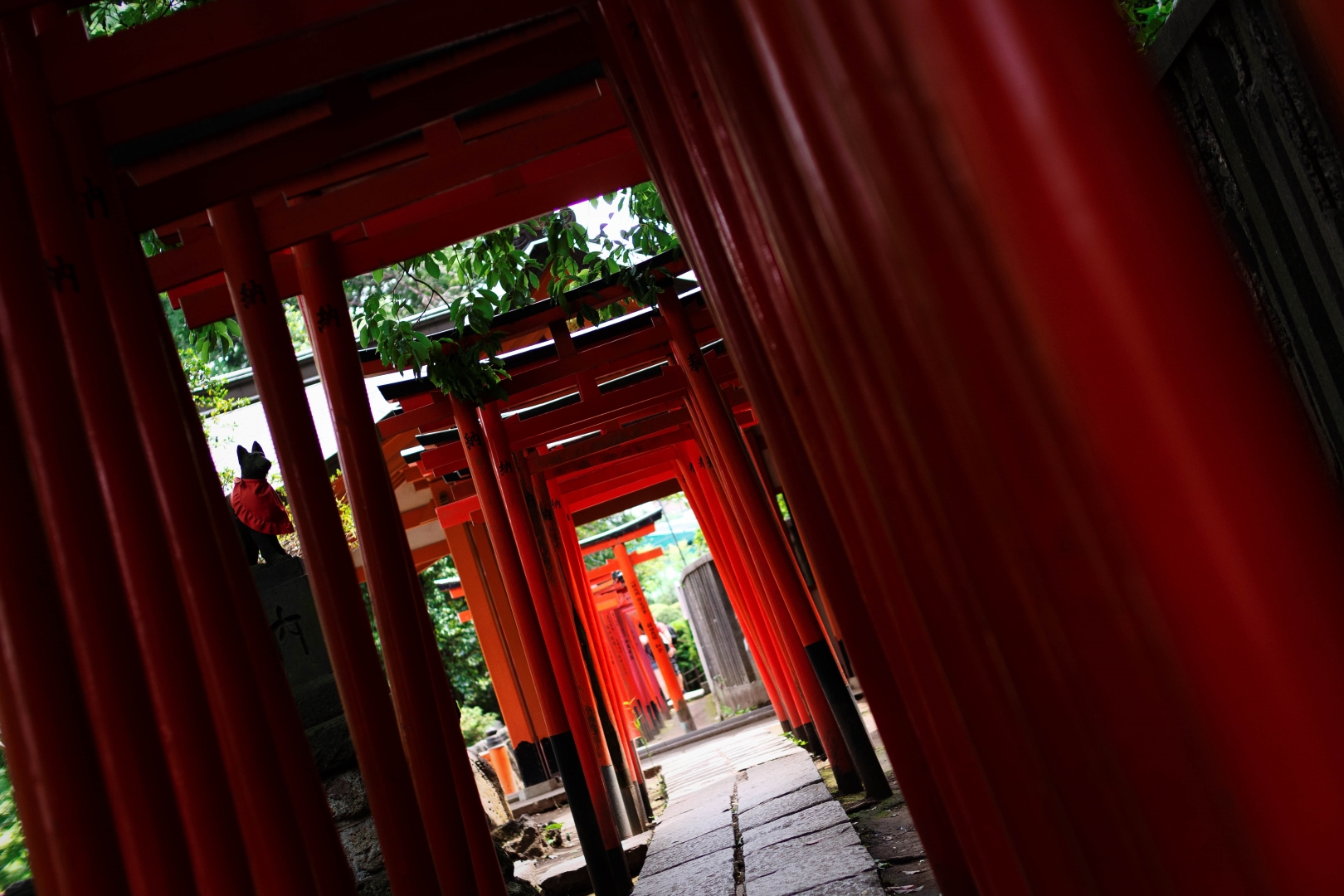 f:id:hisadoi:20190601125755j:plain