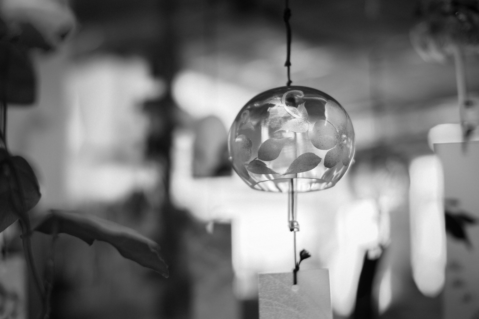 f:id:hisadoi:20190720133240j:plain