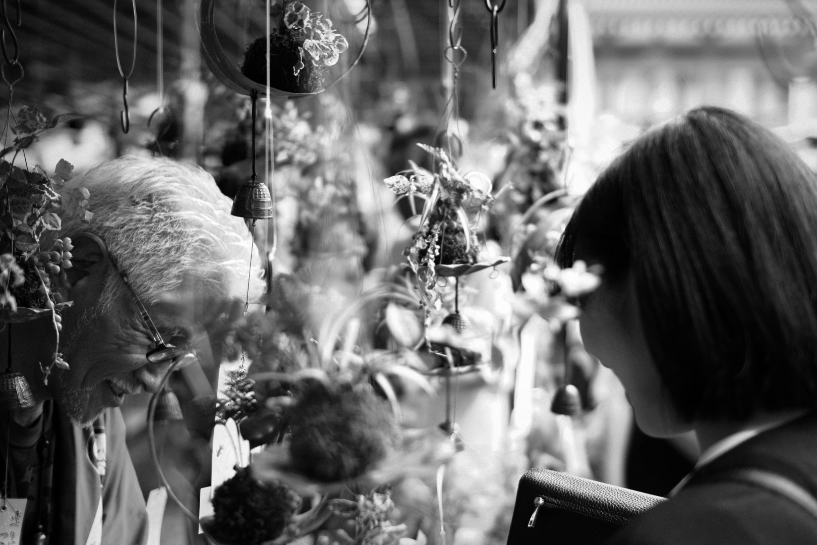 f:id:hisadoi:20190720134146j:plain