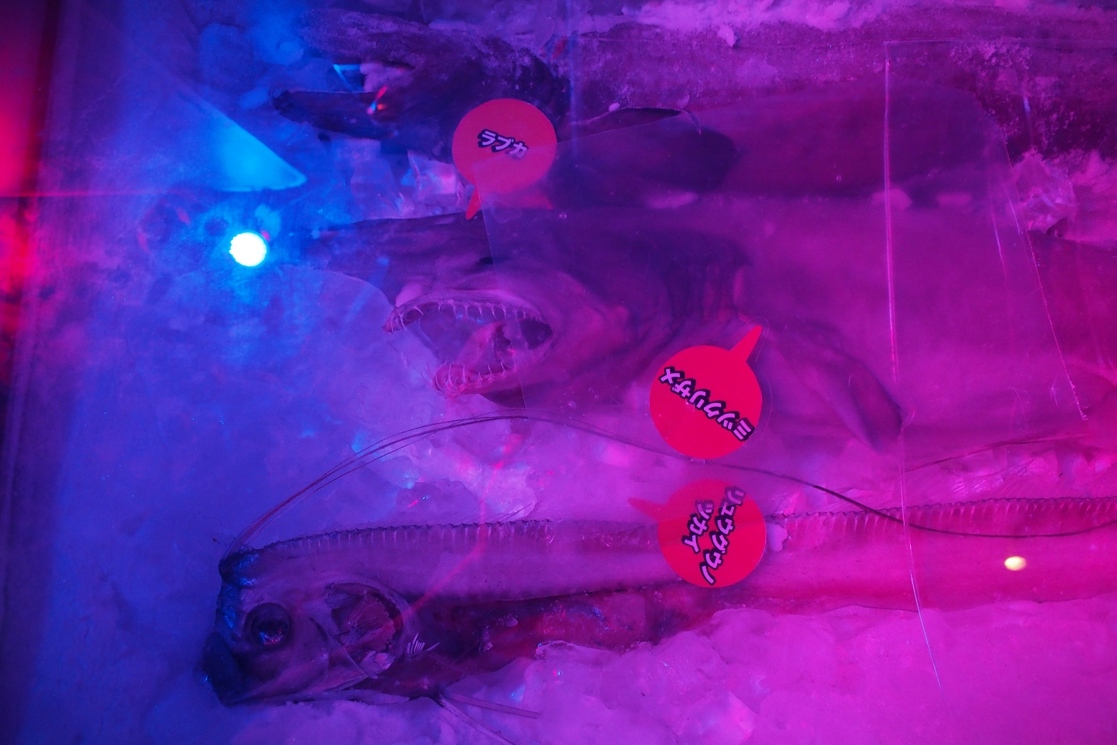 f:id:hisadoi:20190902140728j:plain