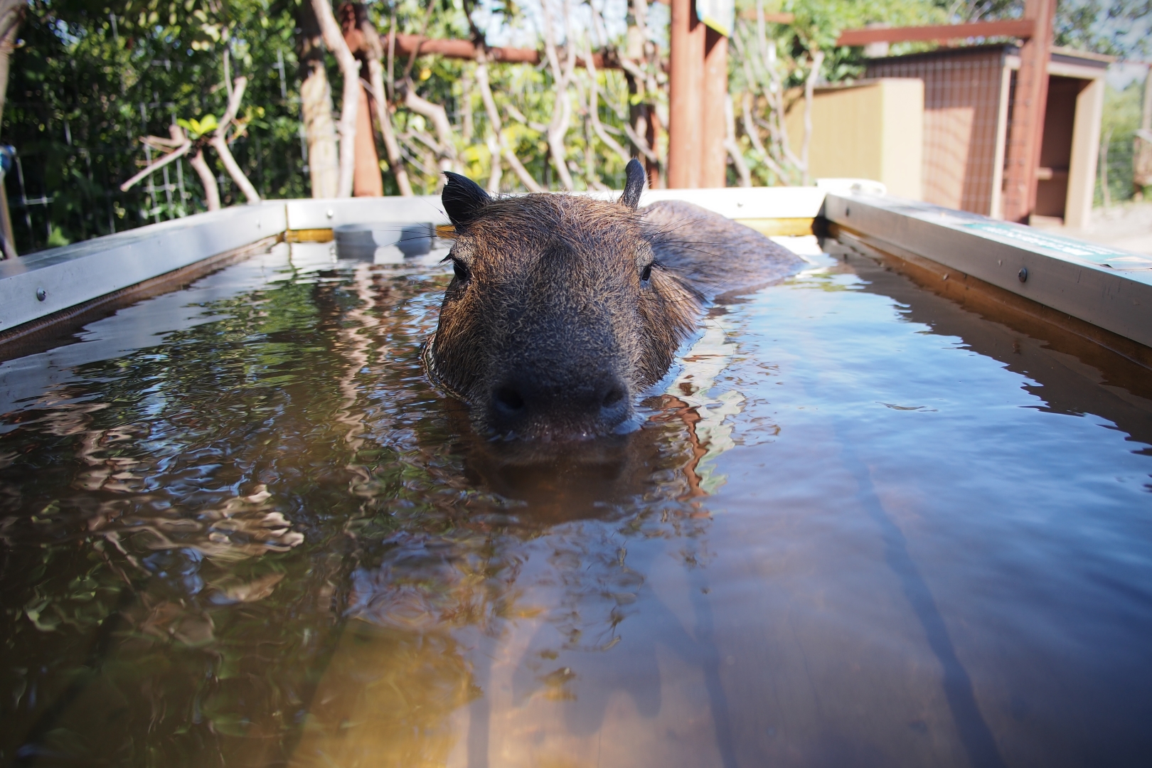 f:id:hisadoi:20190902141951j:plain