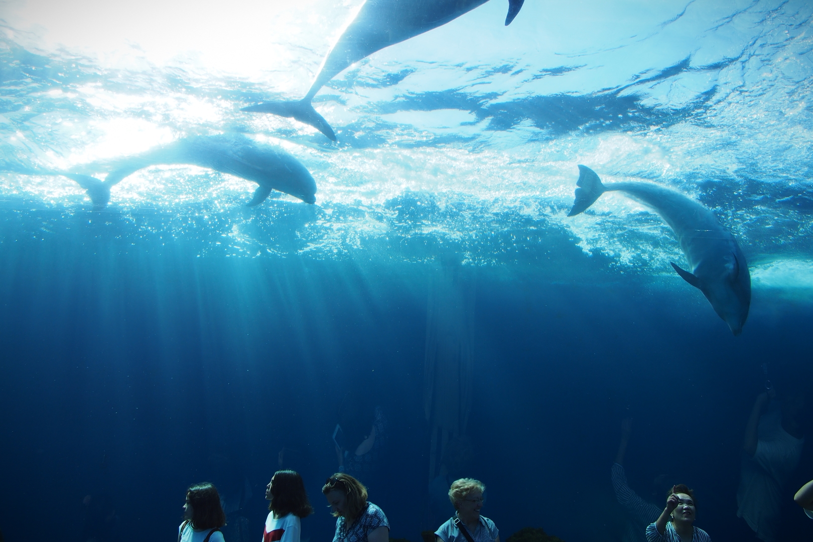 f:id:hisadoi:20190902144722j:plain