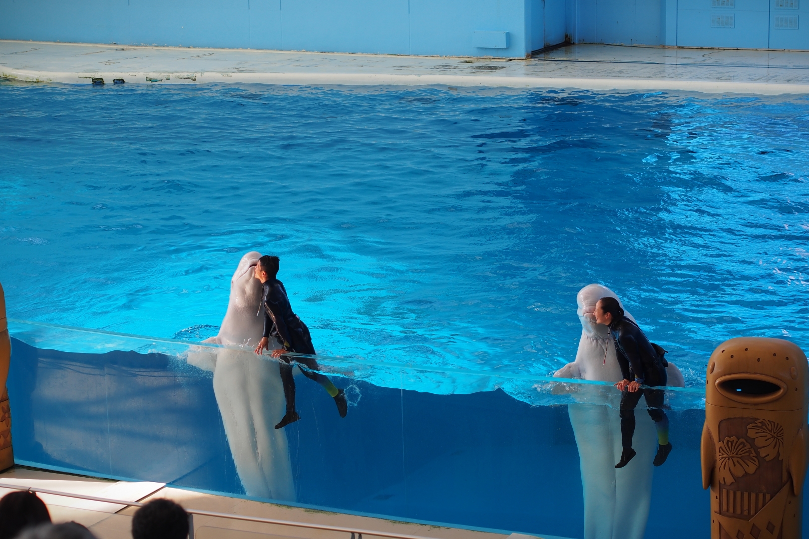 f:id:hisadoi:20190902155054j:plain