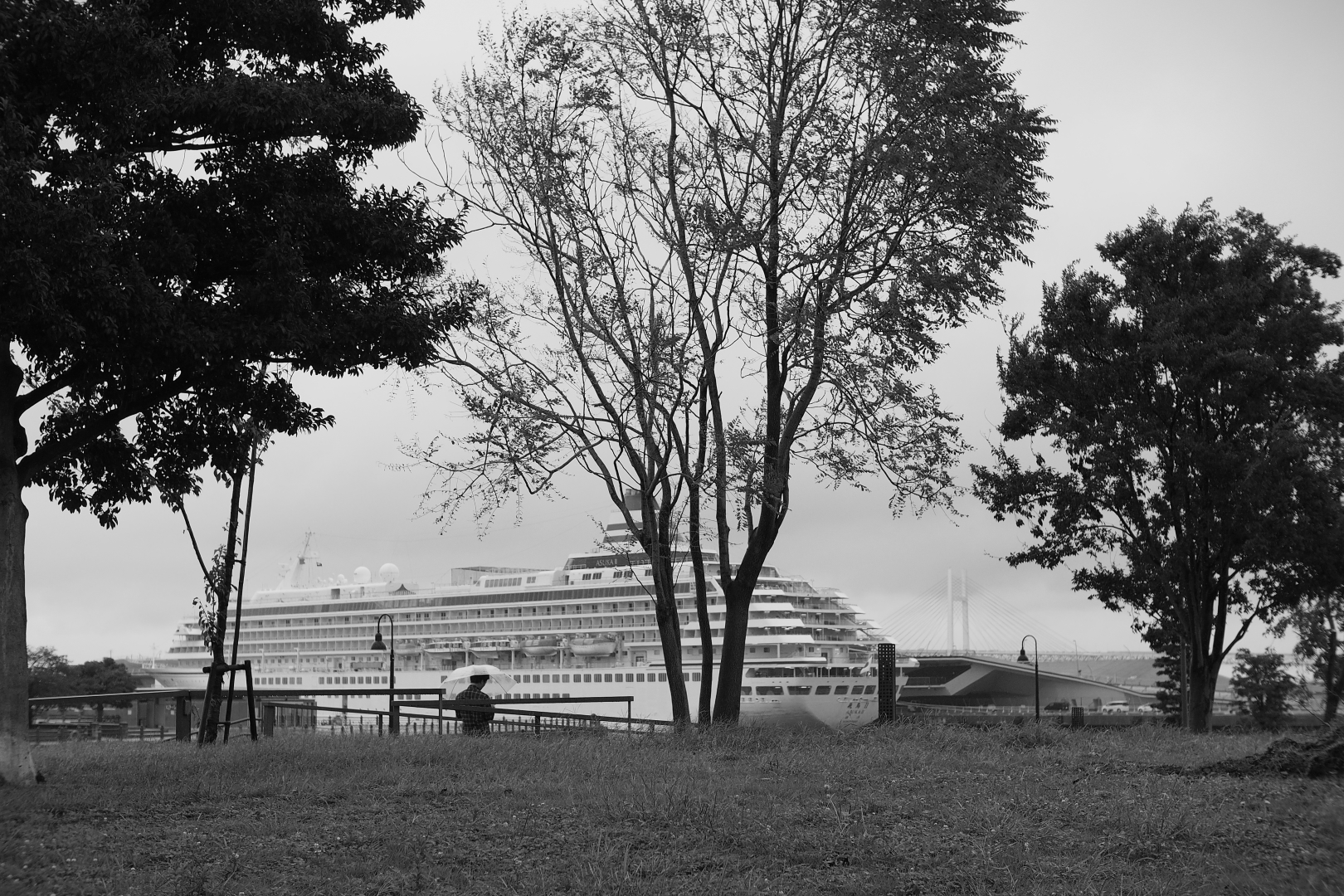 f:id:hisadoi:20190916123246j:plain f:id:hisadoi:20190916123246j:plain