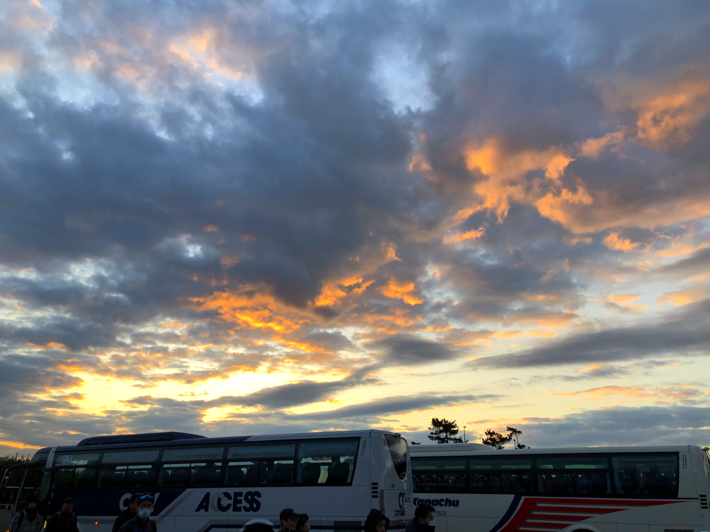 f:id:hisadoi:20191201064328j:plain