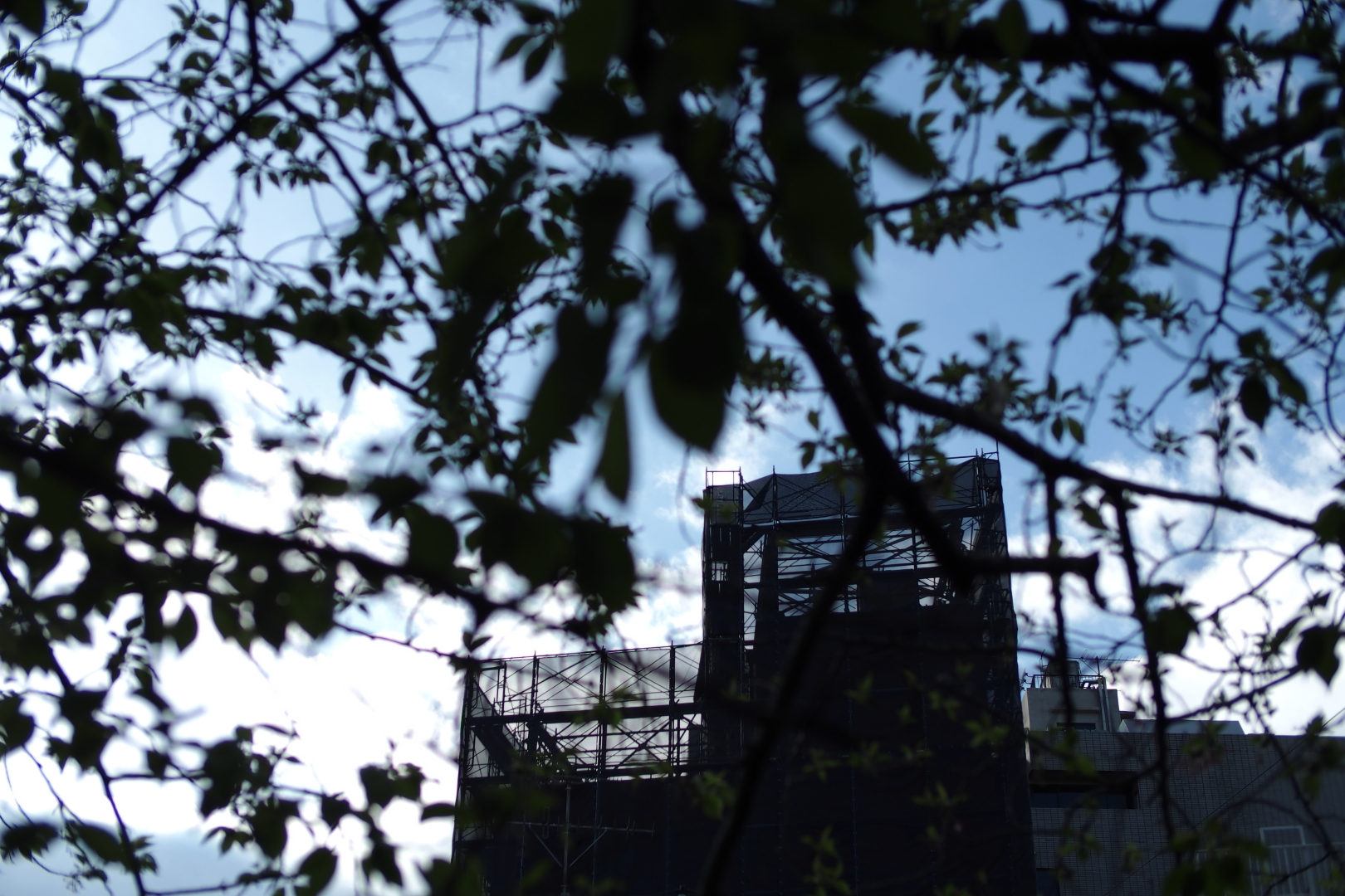 f:id:hisadoi:20200419155214j:plain