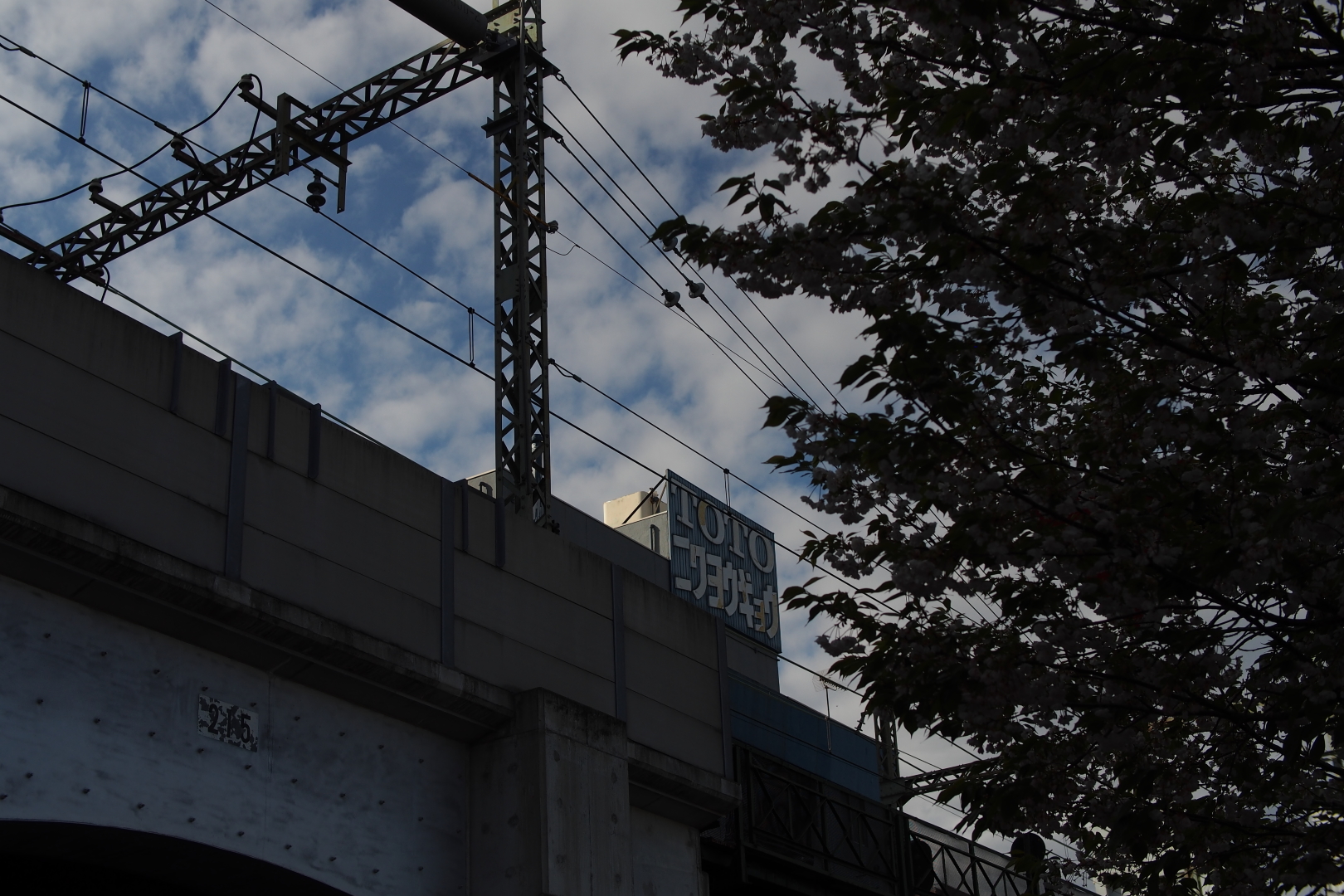 f:id:hisadoi:20200419155852j:plain