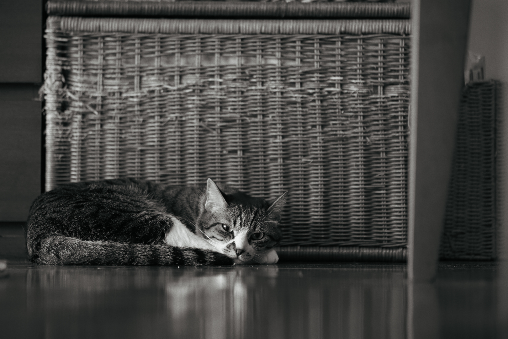 f:id:hisadoi:20210111133835j:plain