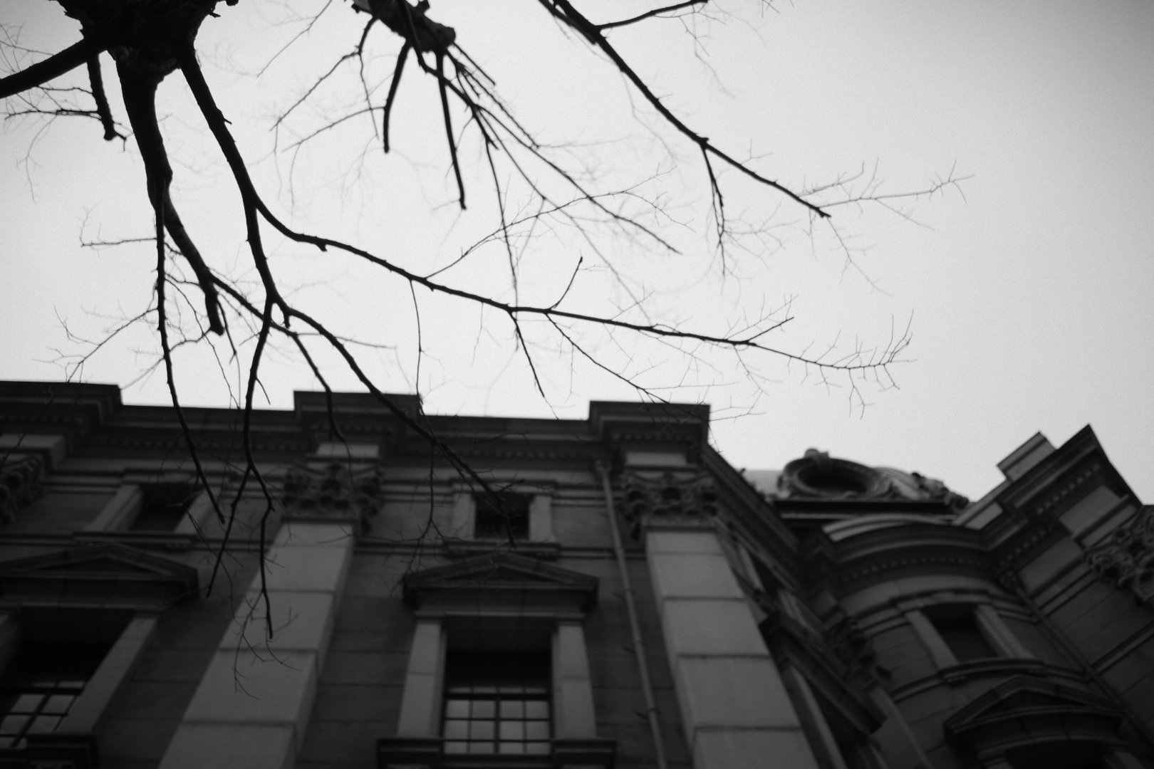 f:id:hisadoi:20210306120151j:plain