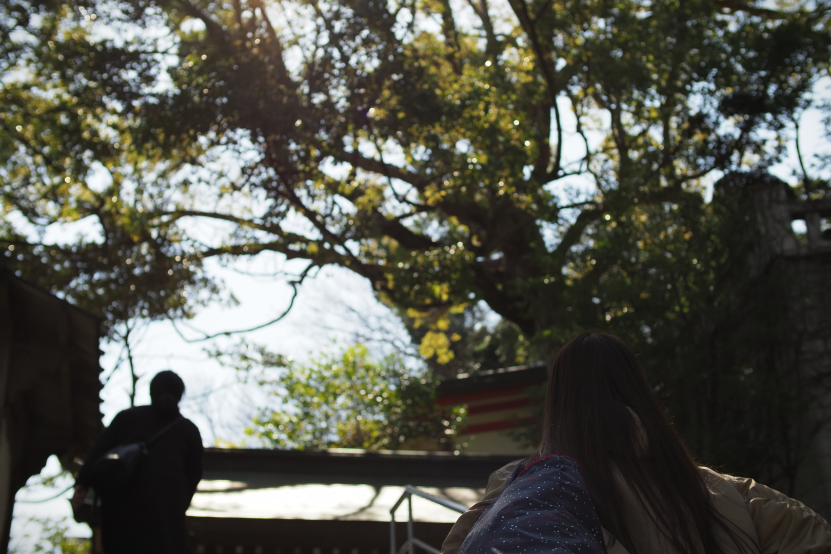 f:id:hisadoi:20210315105429j:plain