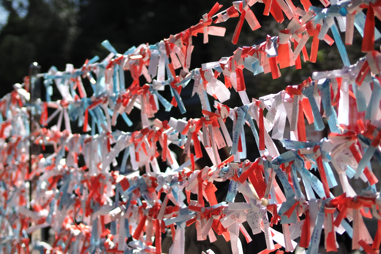 f:id:hisadoi:20210315105626j:plain