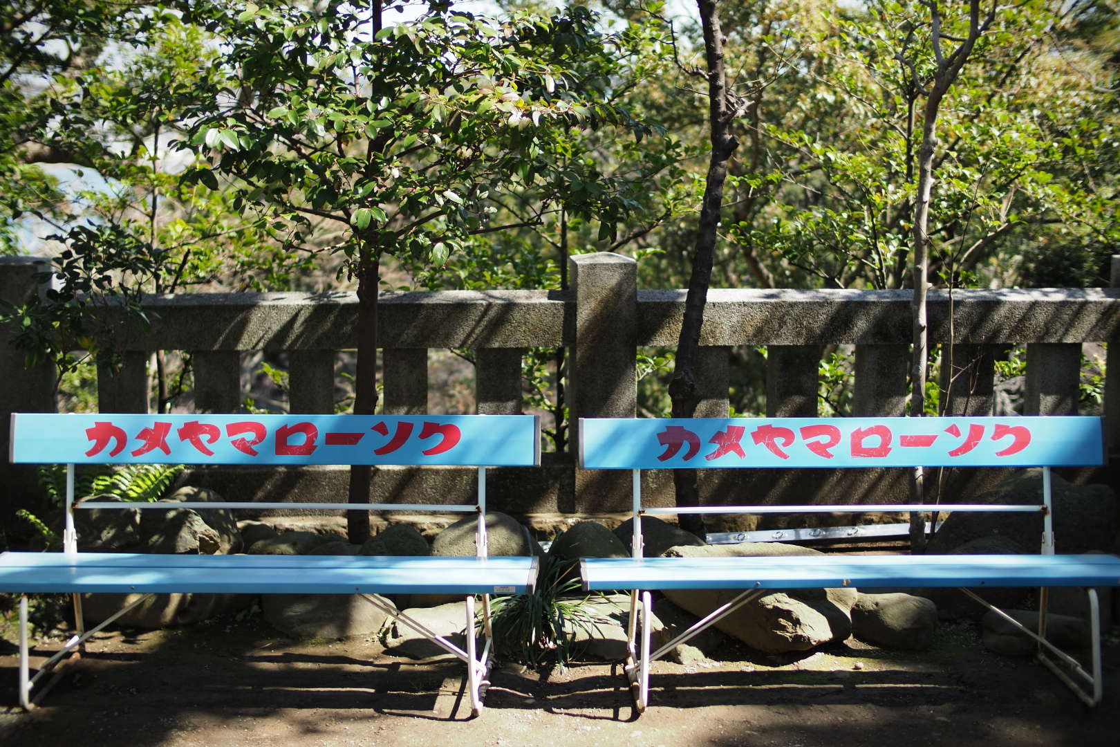 f:id:hisadoi:20210315110733j:plain