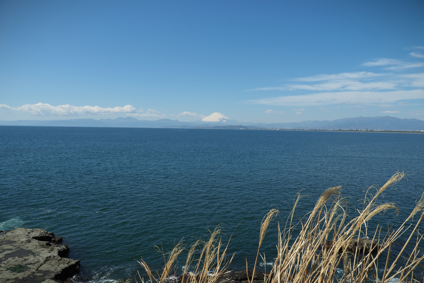 f:id:hisadoi:20210315115608j:plain