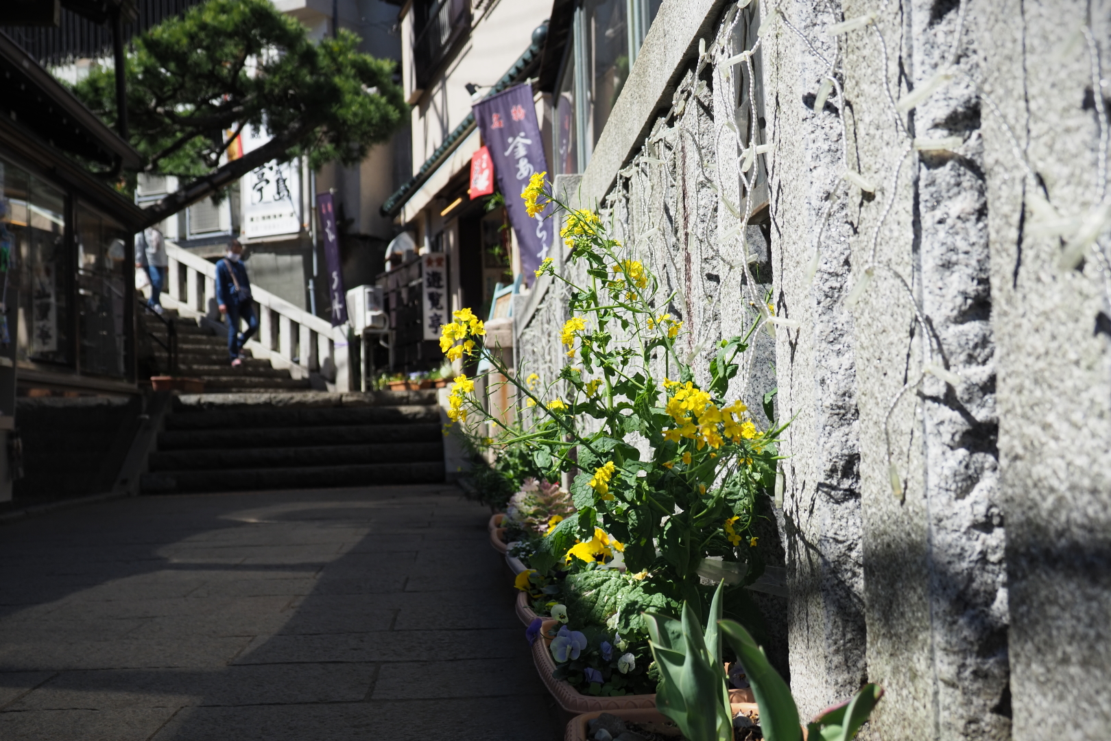 f:id:hisadoi:20210315121508j:plain